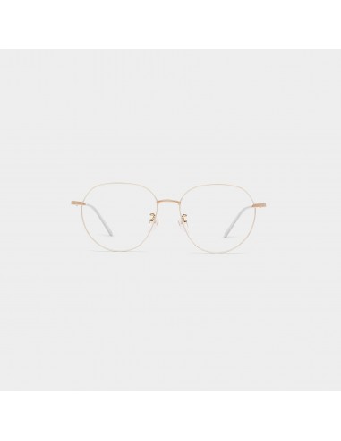 EXCITEMENT - Aviator Mixed Titanium Optical Glasses votre